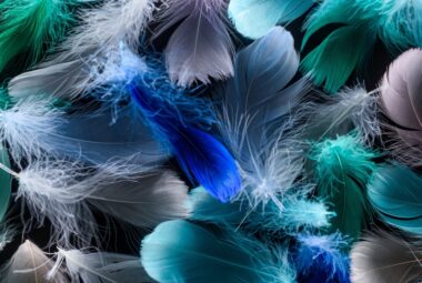 texture photography