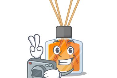 air freshener camera