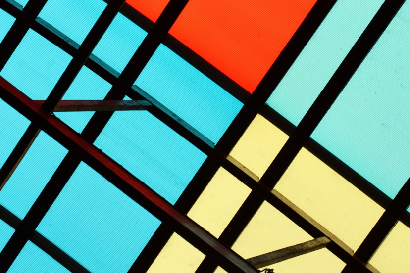 contrasting photography