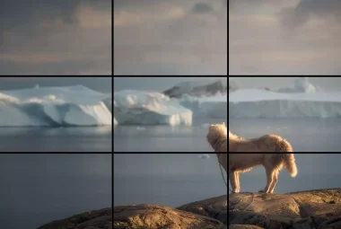 rule of thirds photography examples for beginners