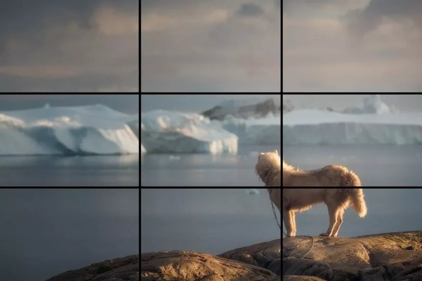 rule of thirds photography examples for beginners