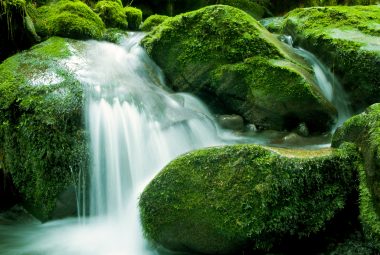 Learn to master manual mode and shoot confidently in any lighting situation.